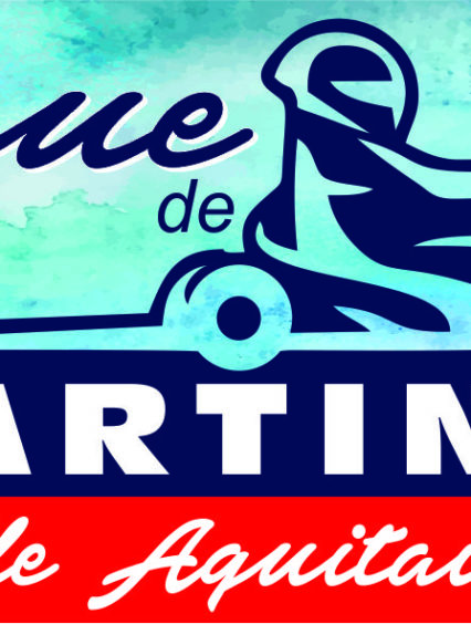 Un nouveau logo pour la Ligue Nouvelle Aquitaine Sud Un nouveau logo pour la Ligue Nouvelle Aquitaine Sud